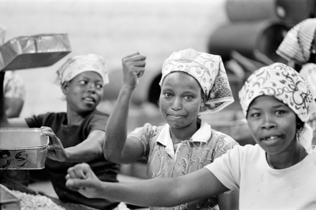 Augusta Conchiglia_foto in mostra