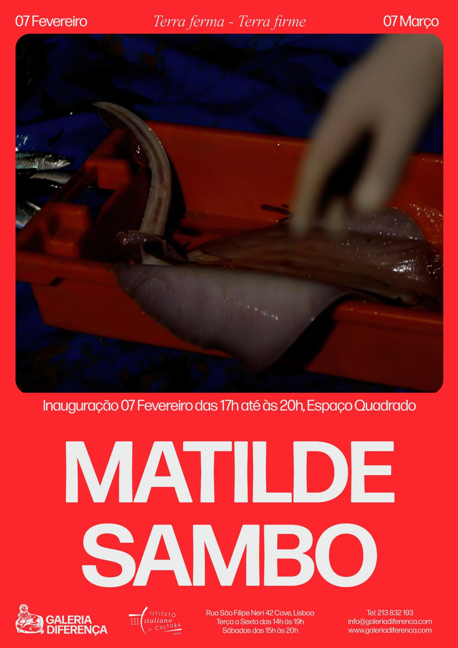 Matilde Sambo – exposição 7.02