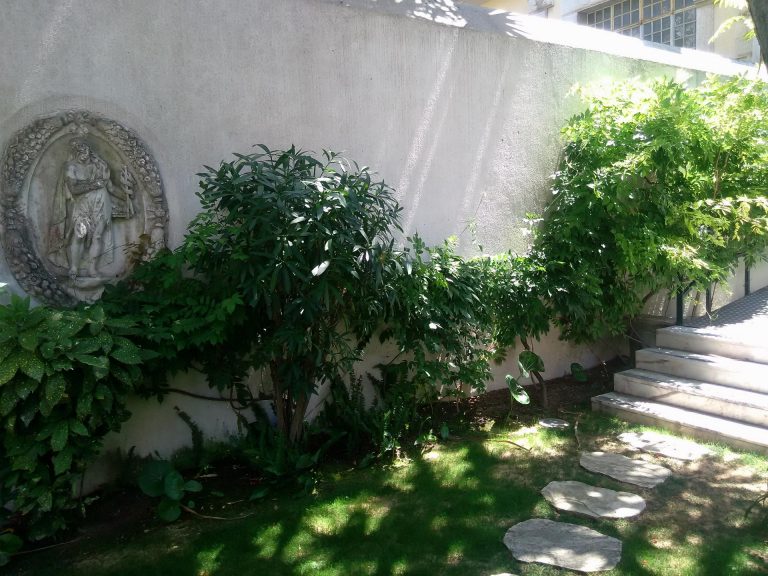 Giardino_dettaglio